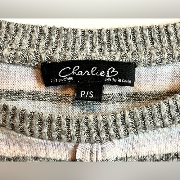 Charlie B Striped Gray and White w Pastel Colors Women’s Sweater Size Small - Picture 5 of 16